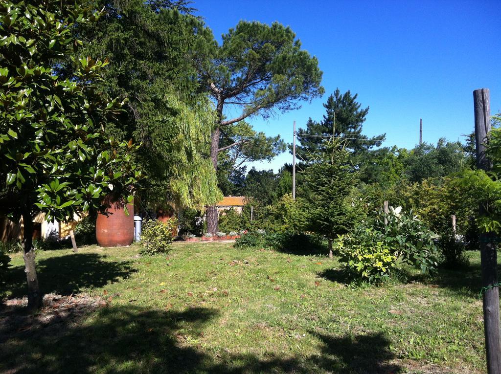 Villa Nunzia Cupramontana Exterior foto